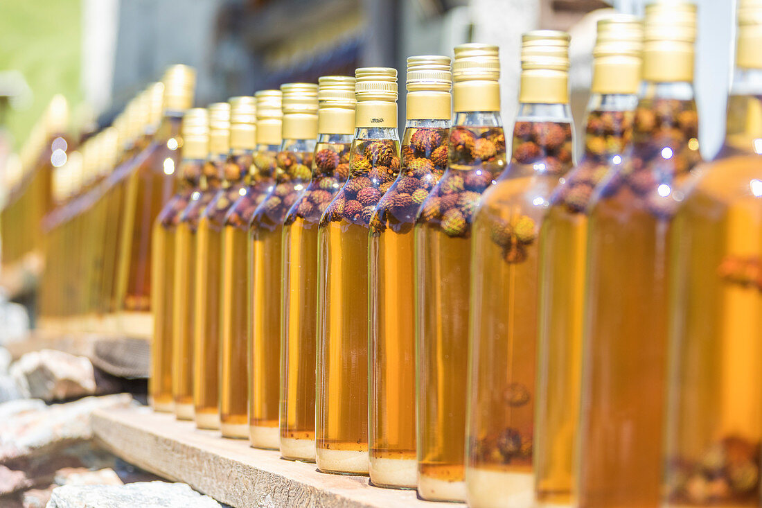 Bottles of grappa, Alp San Romerio, Grissons, Switzerland