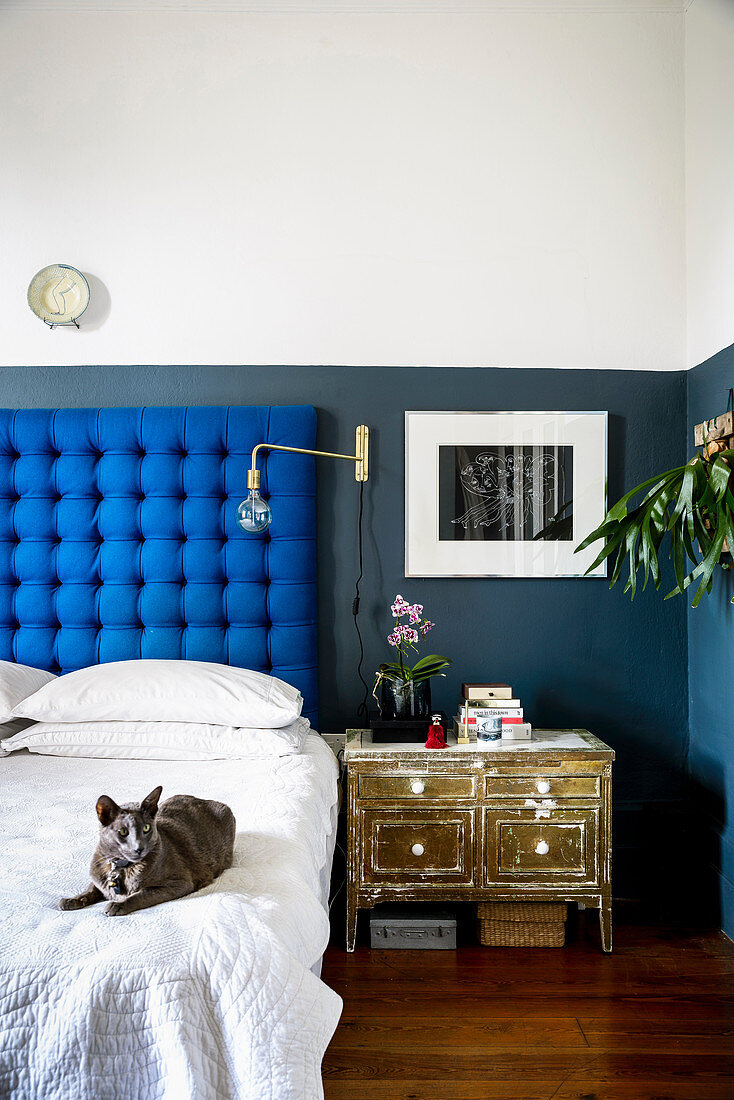 Cat on bed with button-tufted headboard against two-tone wall
