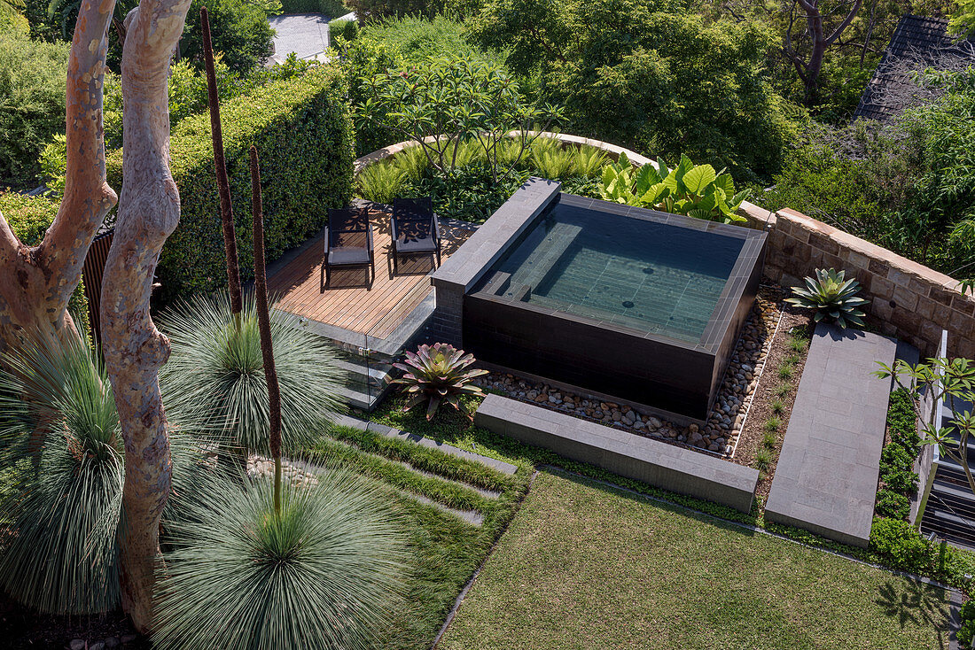 Blick auf Garten mit Pool und Grasbäumen (Xanthorrhoea)