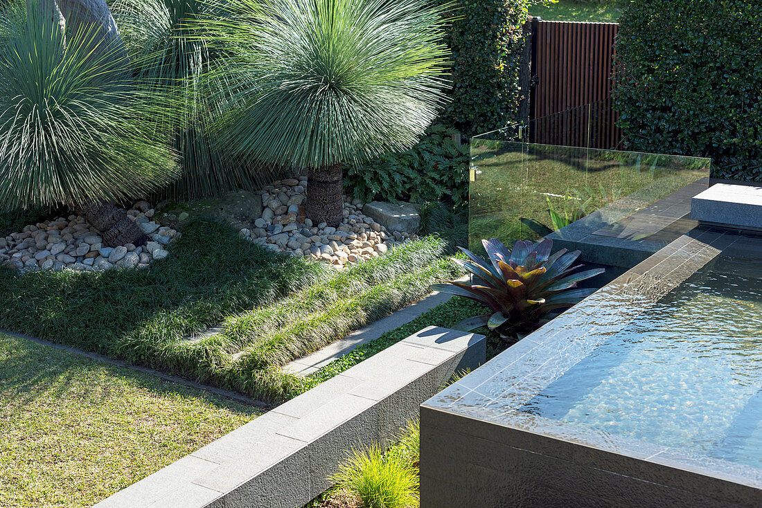 Garden with pool and grass trees (Xanthorrhoea)
