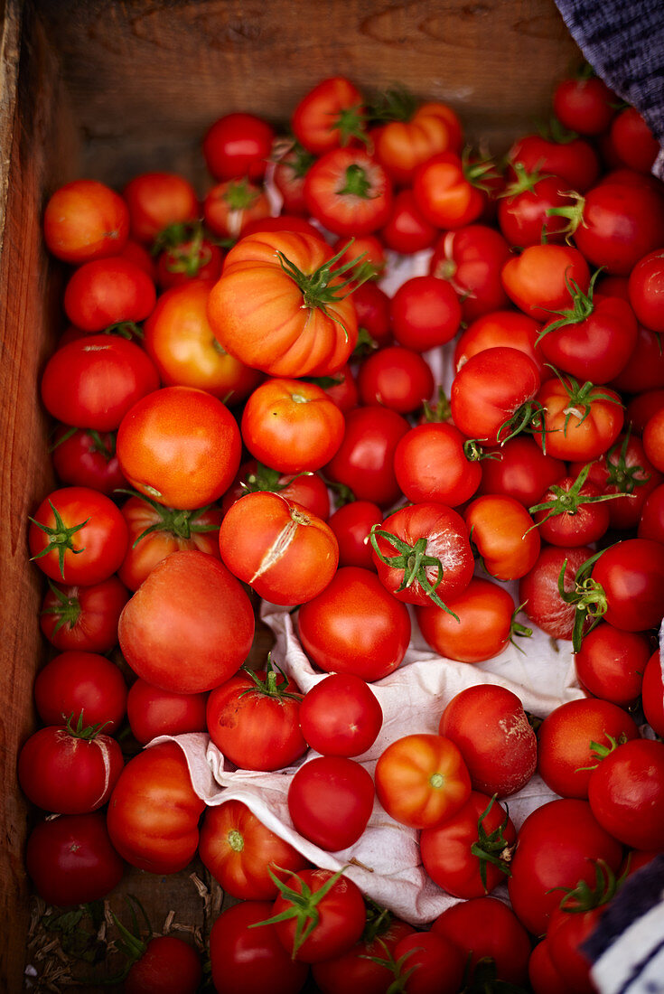 Viele Tomaten in Holzkiste auf einem Markt