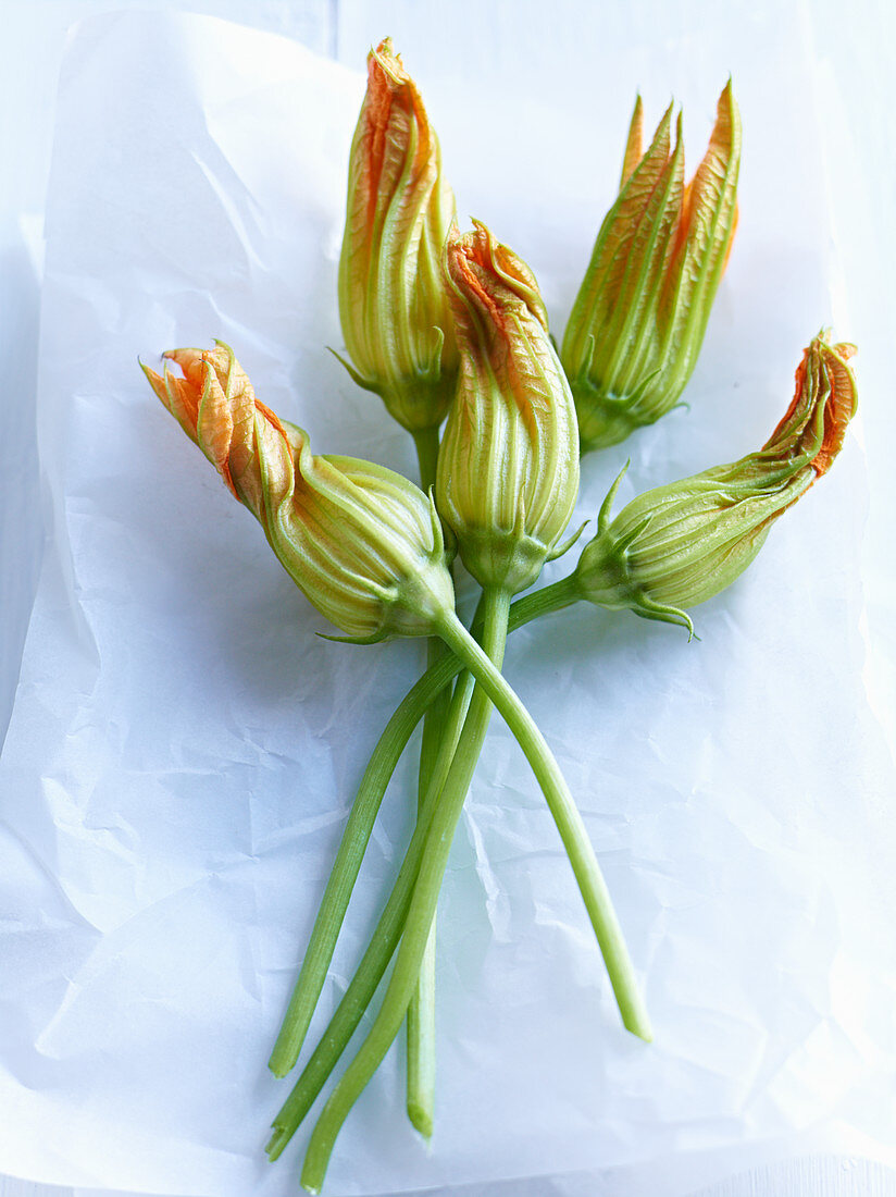 Frische Zucchiniblüten auf Butterbrotpapier