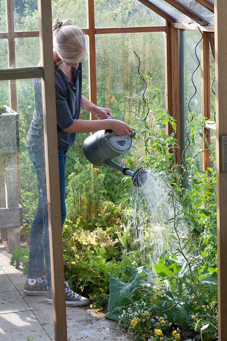 Woman watering vegetables in the greenhouse