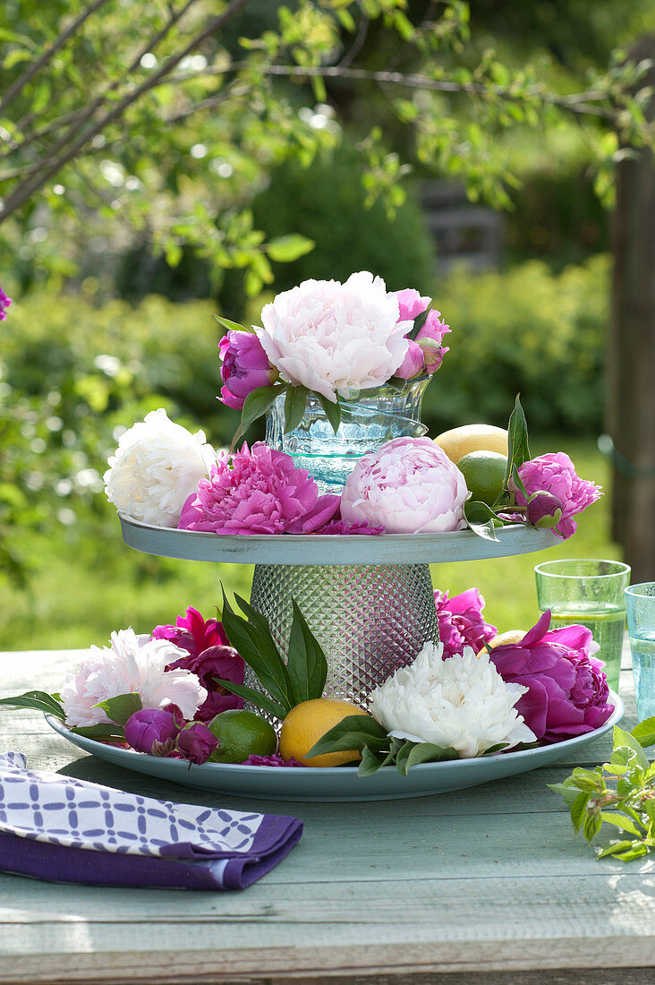Blossoms of Paeonia (peonies) along with Citrus limon (lemons)
