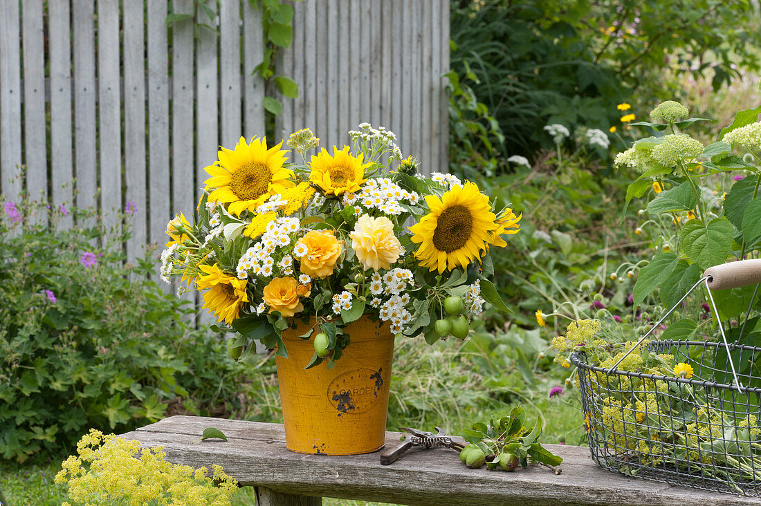 Rural bouquet in yellow pot: Helianthus annuus (sunflowers)