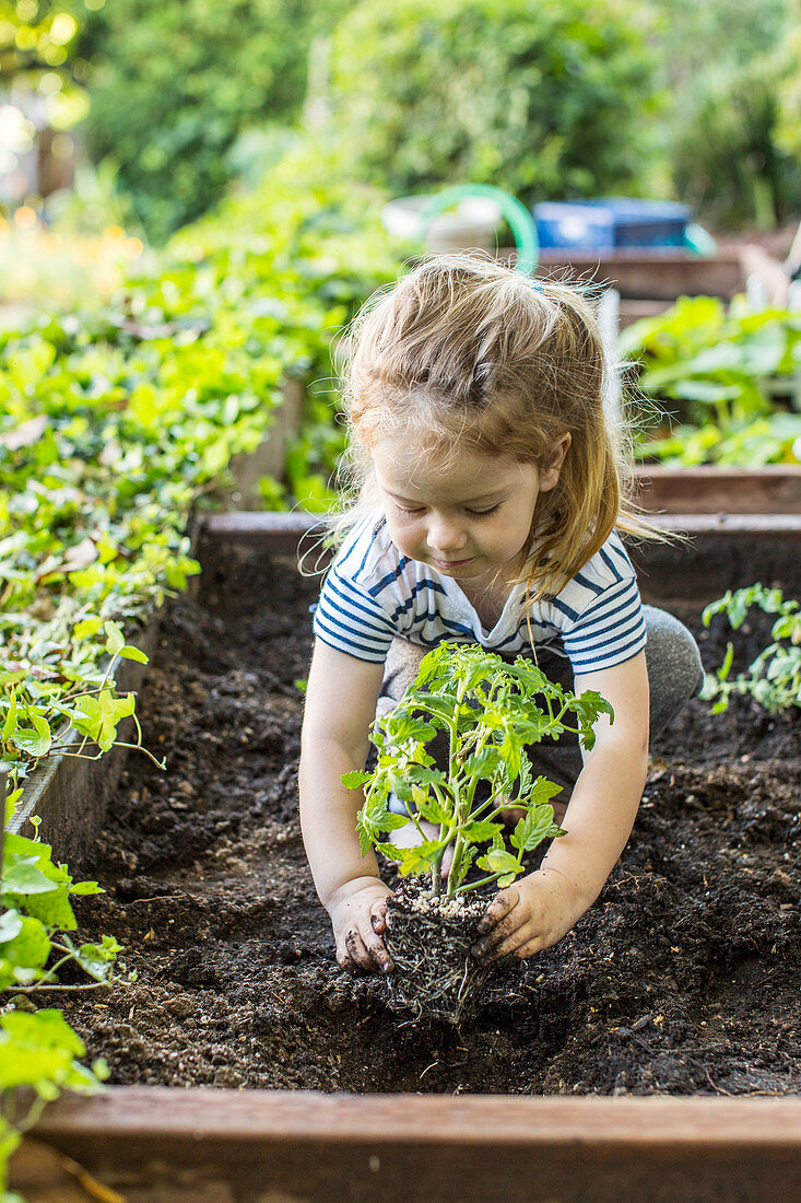 A little girl gardening