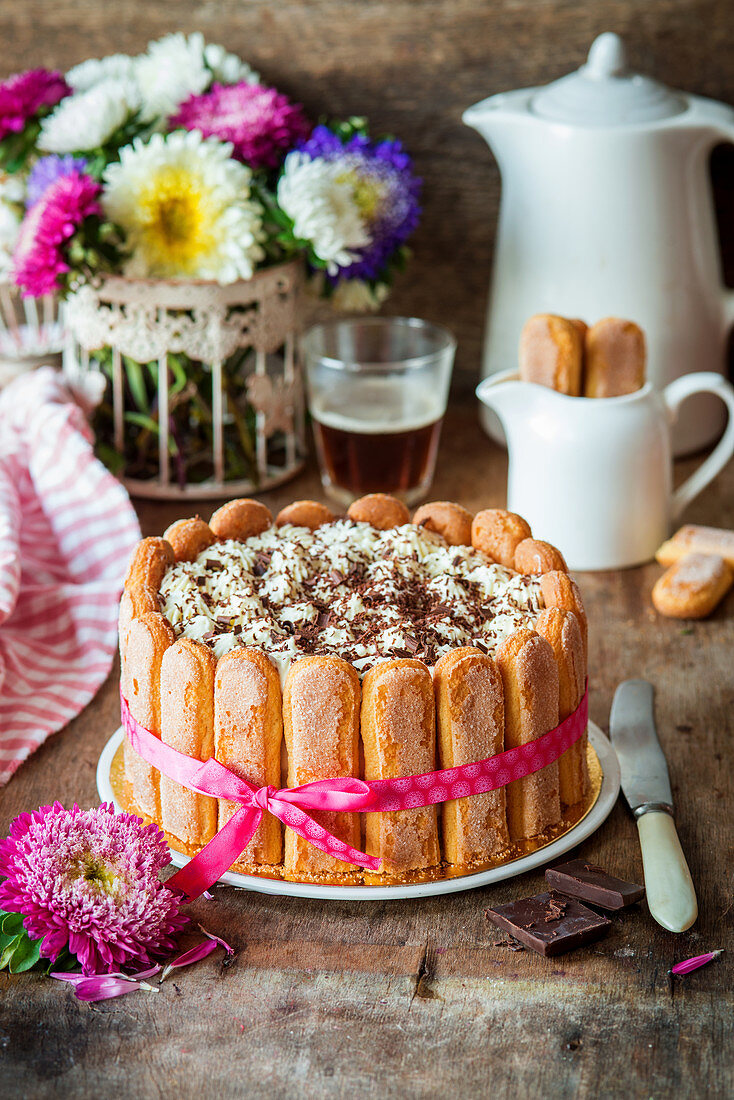 Tiramisu torte with spoon biscuits