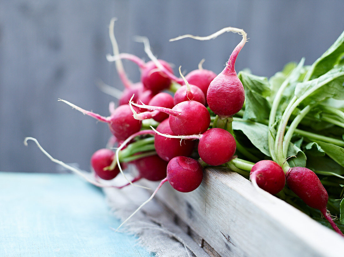 Radishes in a wooden crate