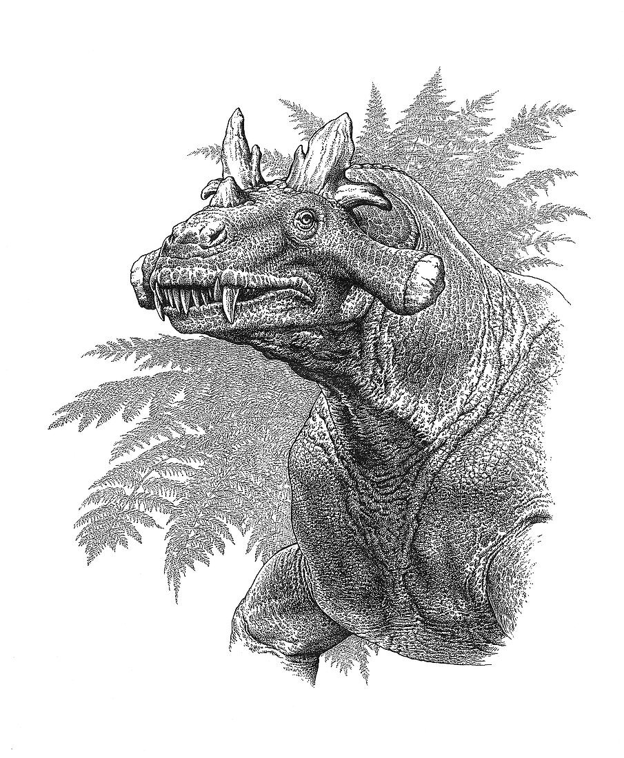 Estemmenosuchus therapsid, illustration