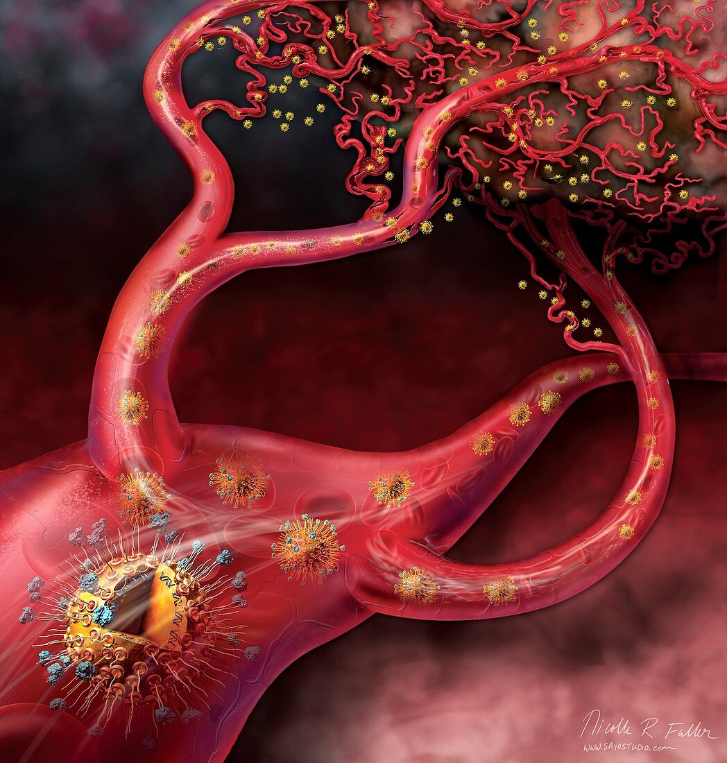 Nanospheres attacking cancer, illustration