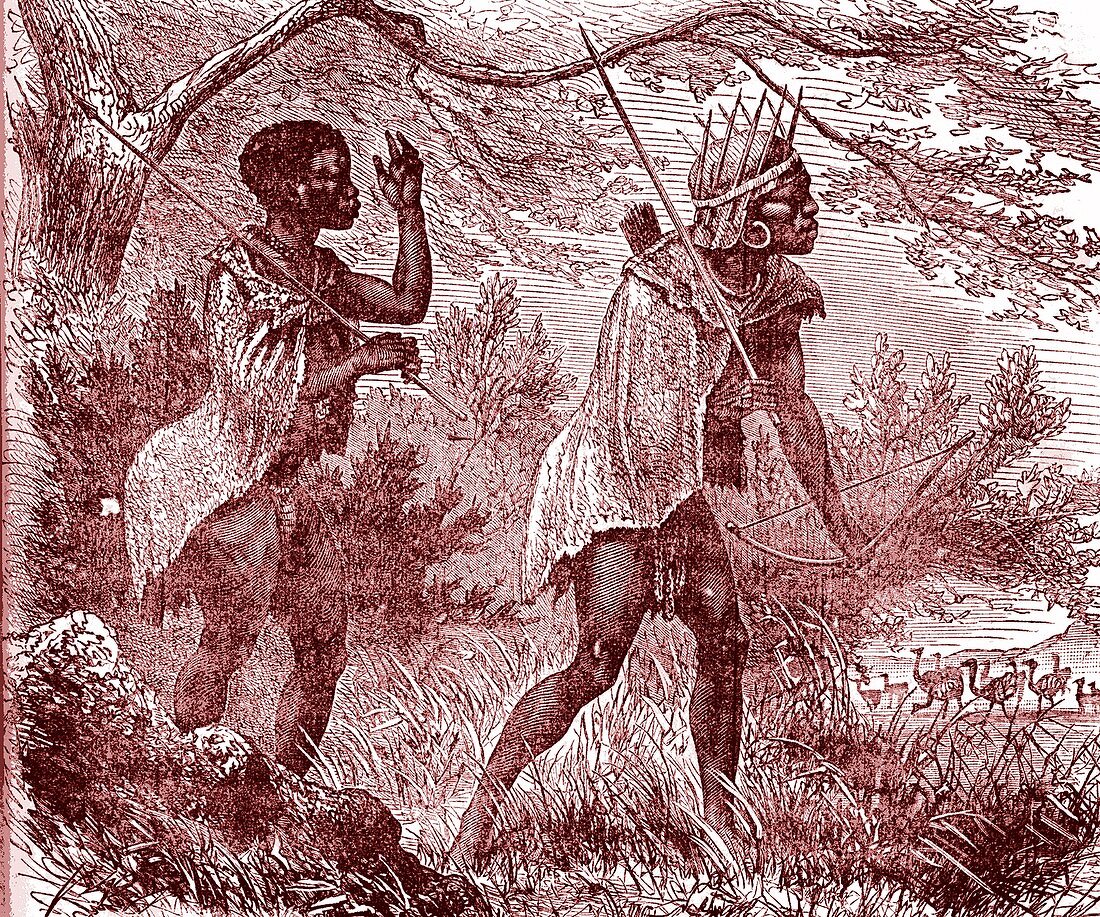 African bushmen, 19th Century illustration