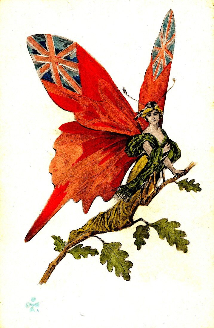 British butterfly, early 20th Century conceptual image
