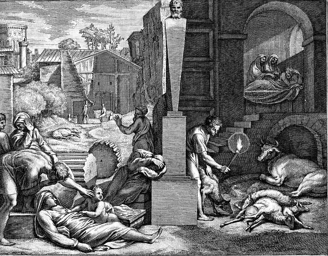 The Plague, illustration
