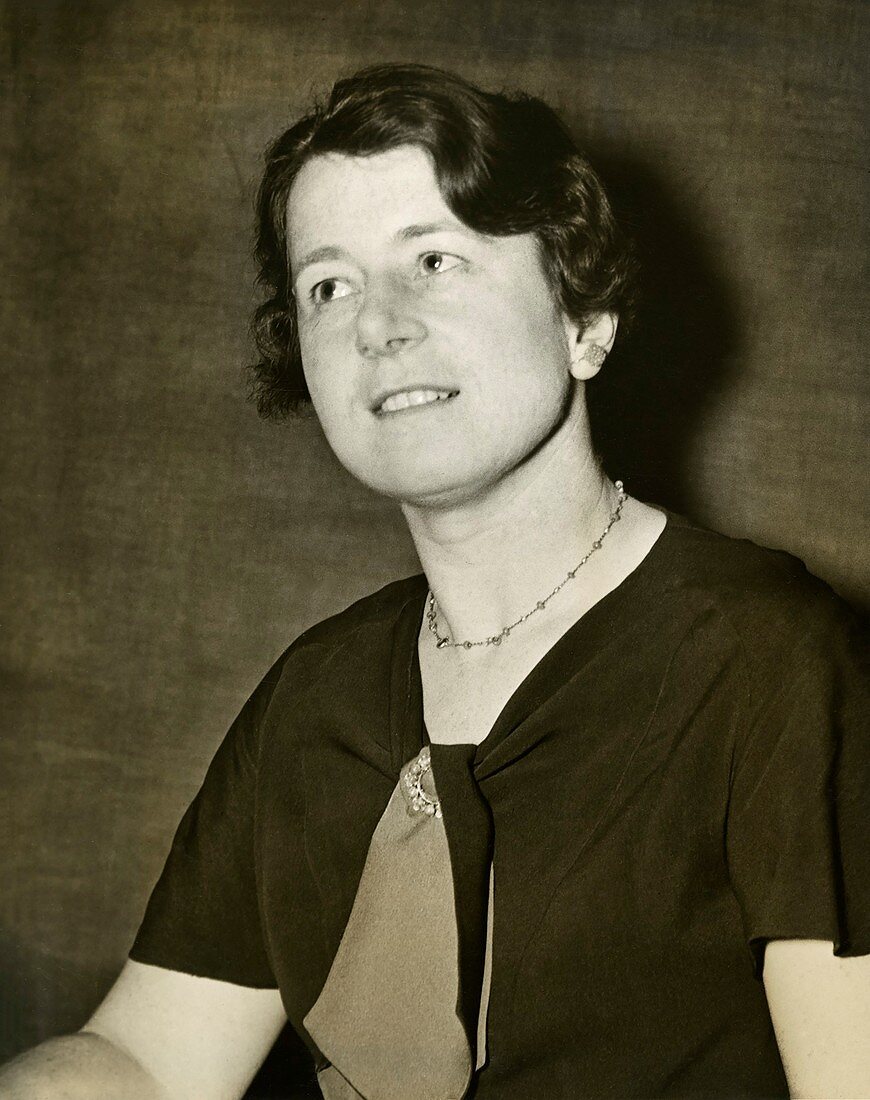 Dorothy Wrinch, British mathematician