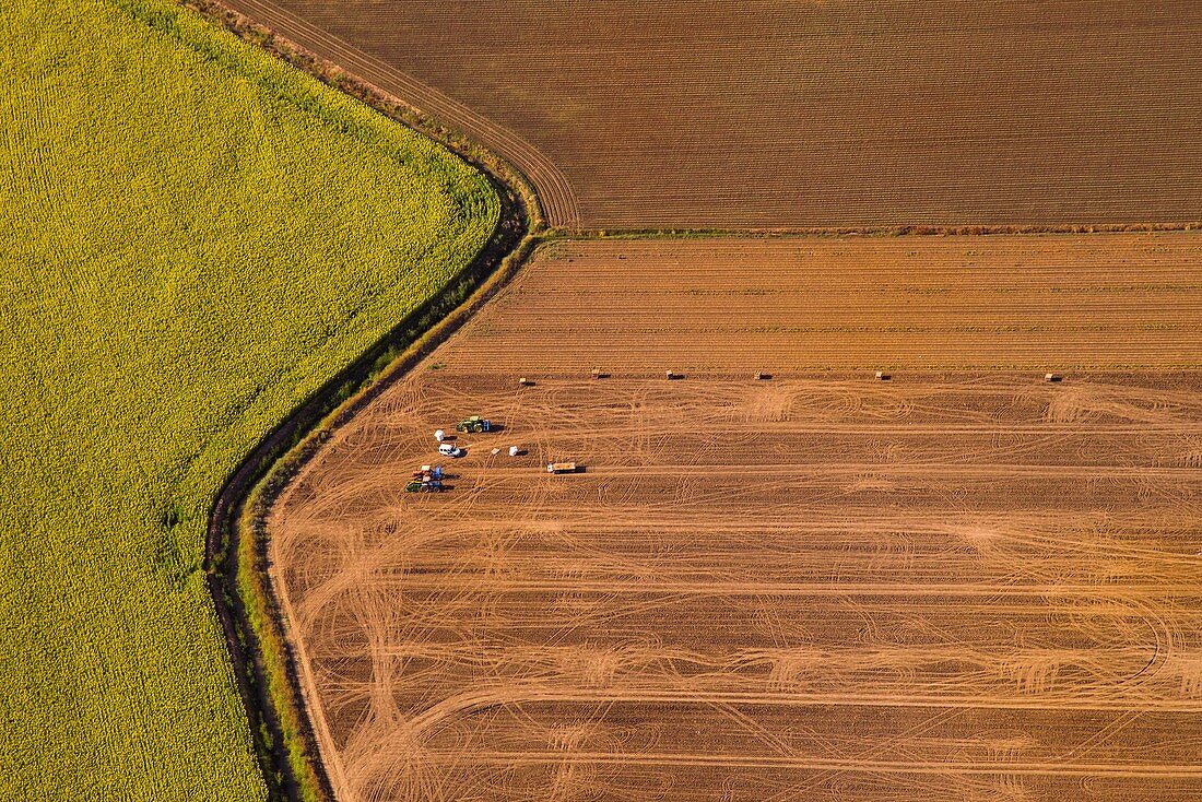 Farming, Huelva, Spain, aerial photograph