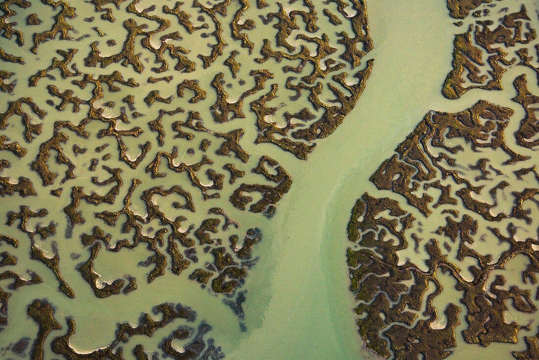 Marshes, aerial photograph
