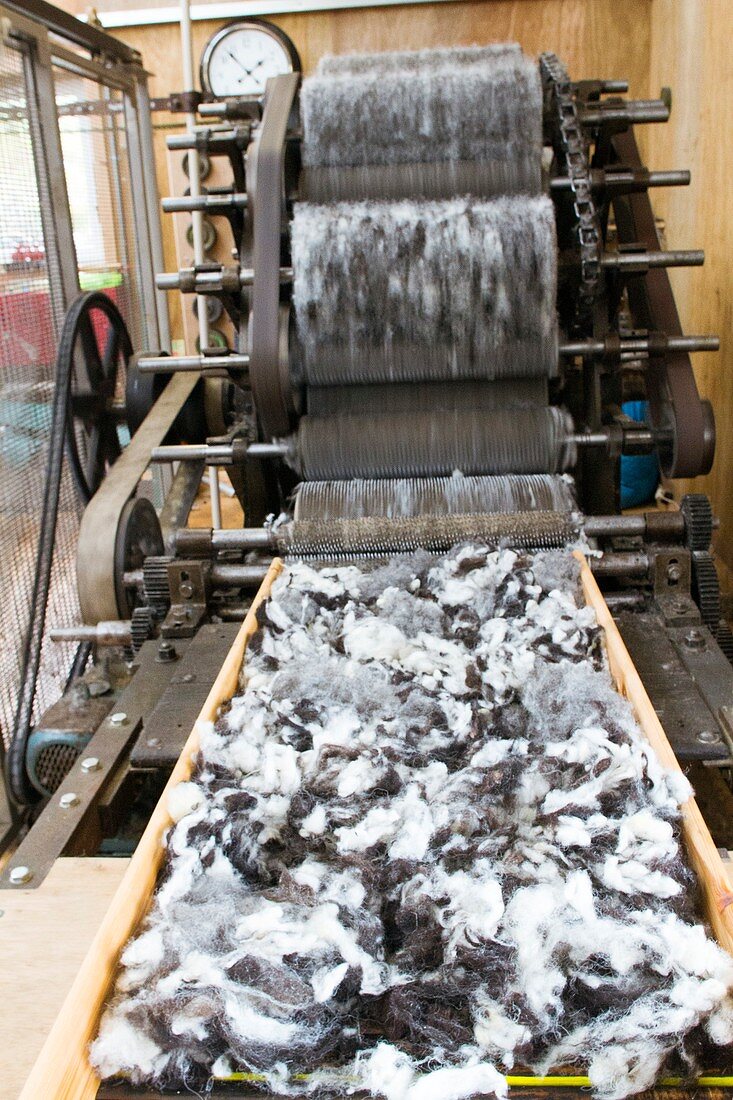 Carding machine in woollen mill