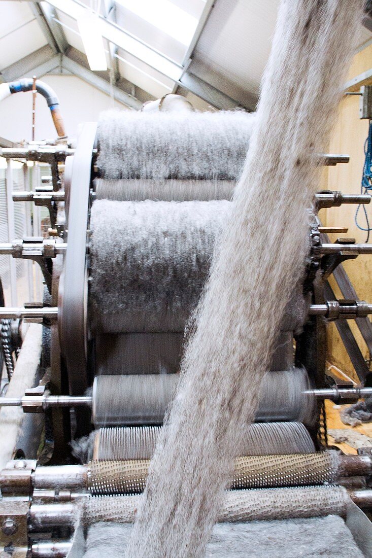 Carding machine in woollen mill