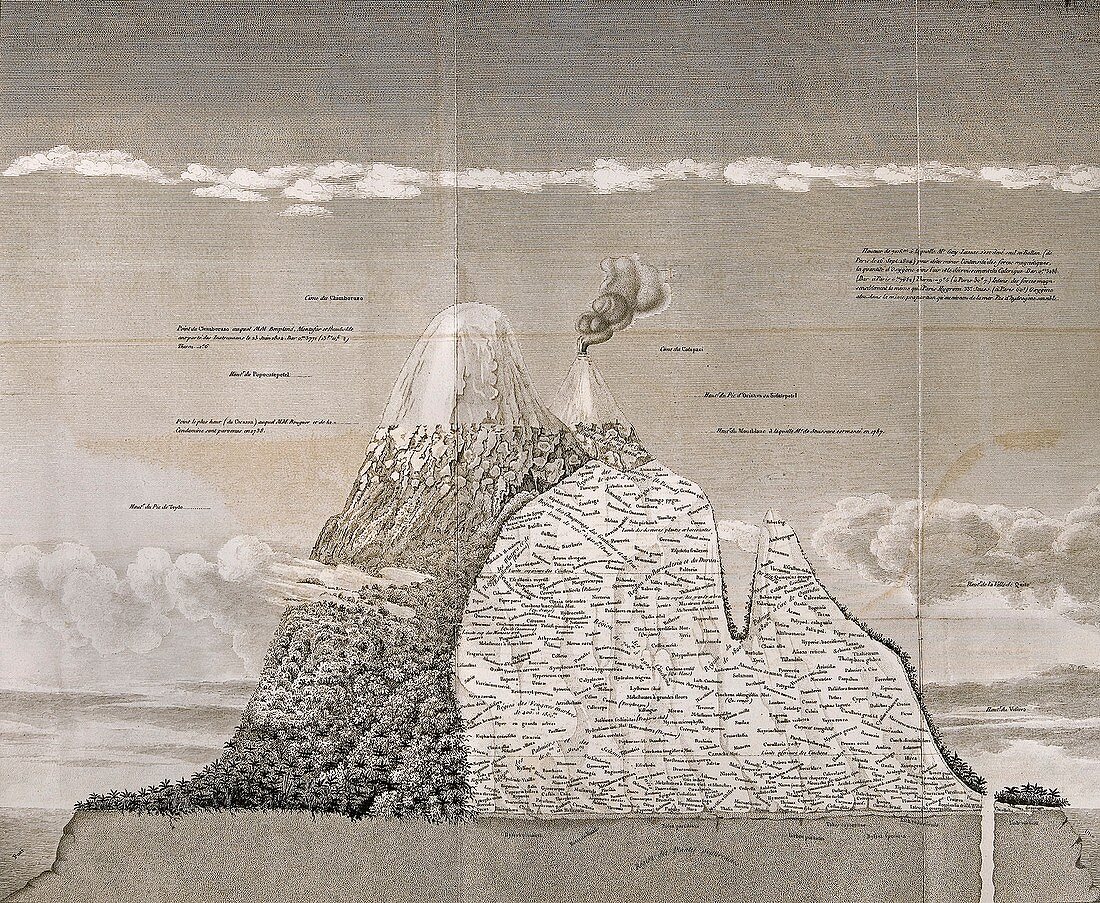 Botanical geography of the Andes, illustration