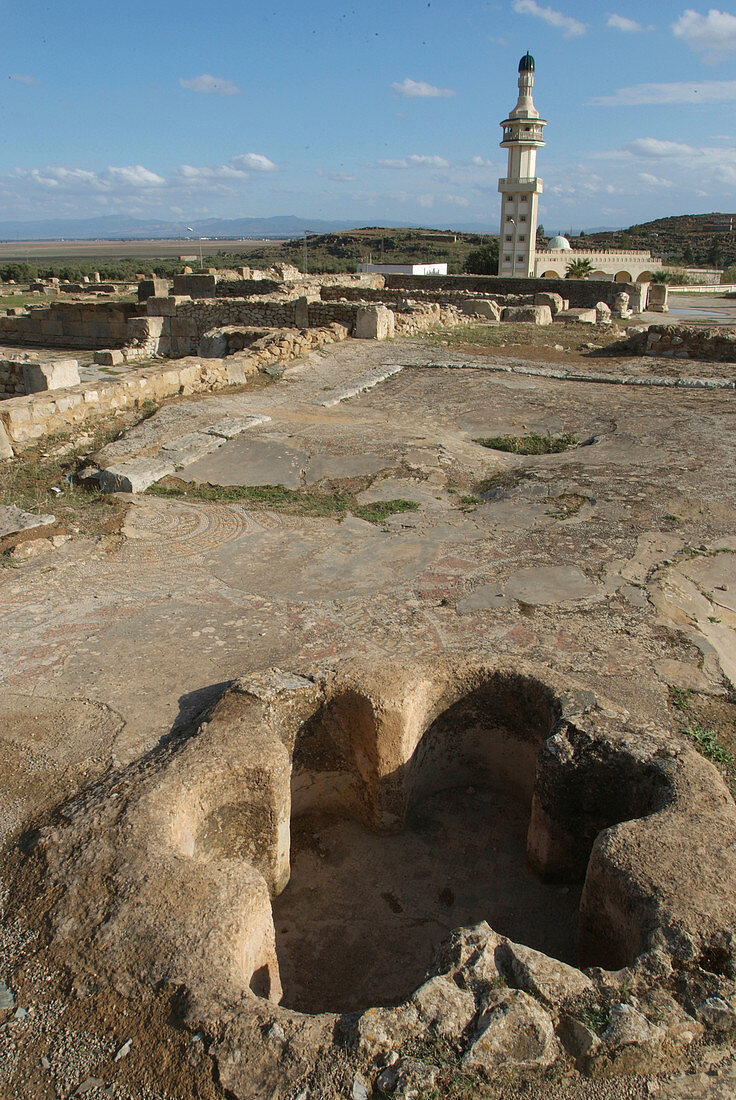 Roman ruins at Bulla Regia, Tunisia