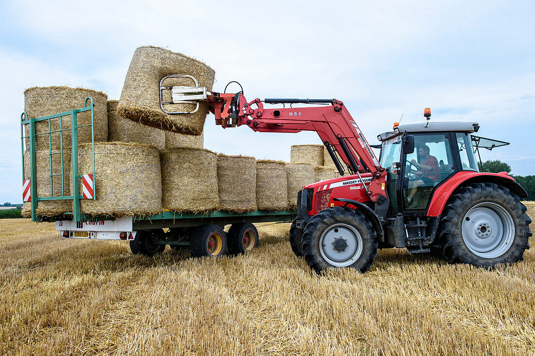 Haymaking