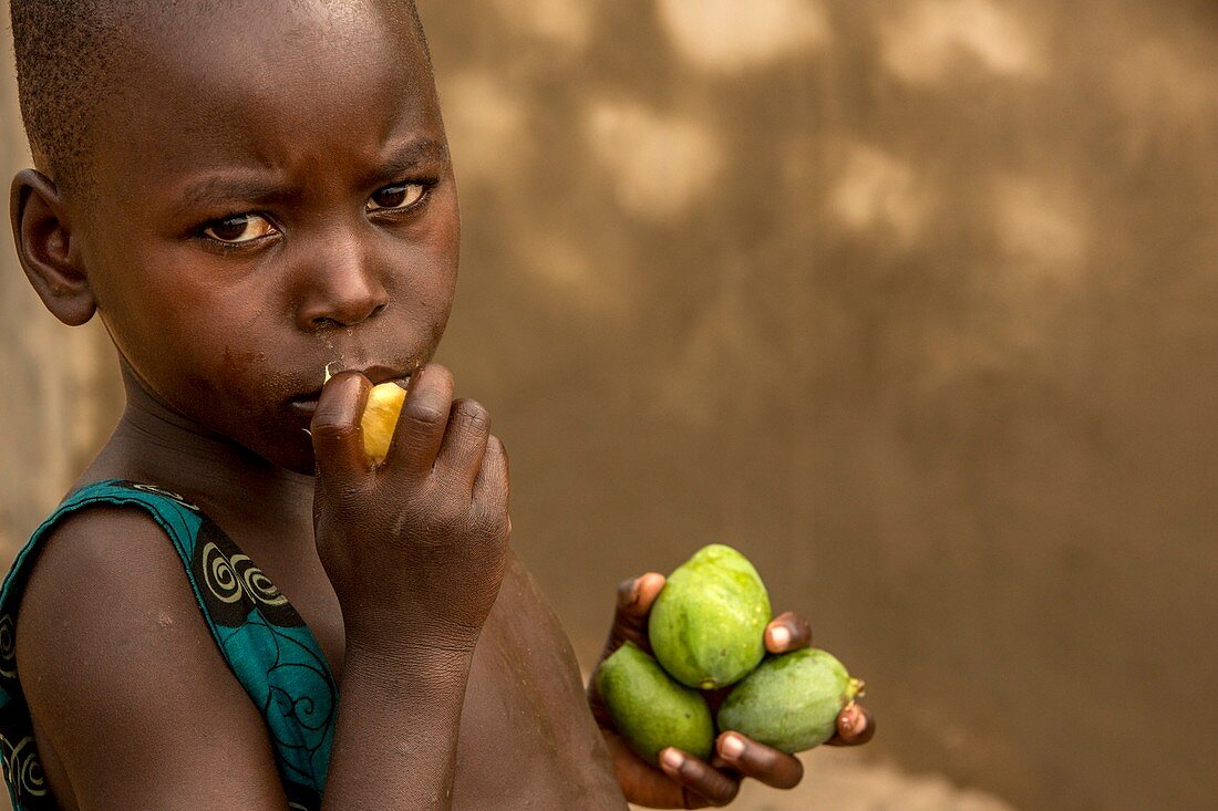 Young boy eating fruit