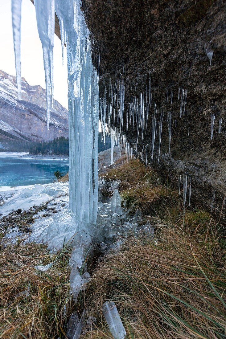 Icicles by a frozen waterfall in the Swiss Alps