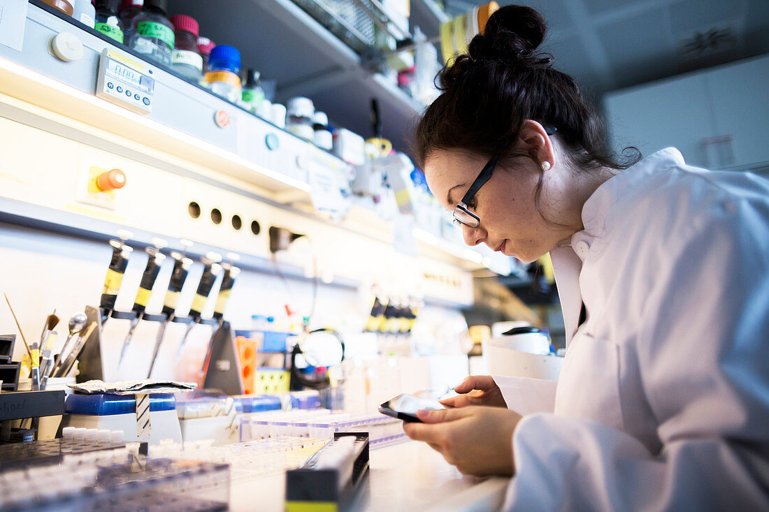 Female scientist in laboratory