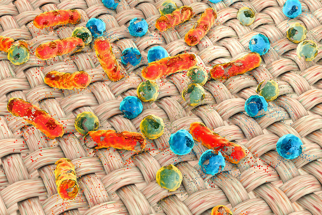 Destruction of bacteria on dirty cloth, illustration