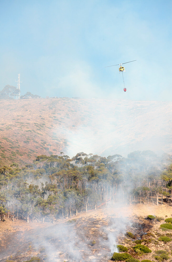 Helicopter dropping water on wild fire