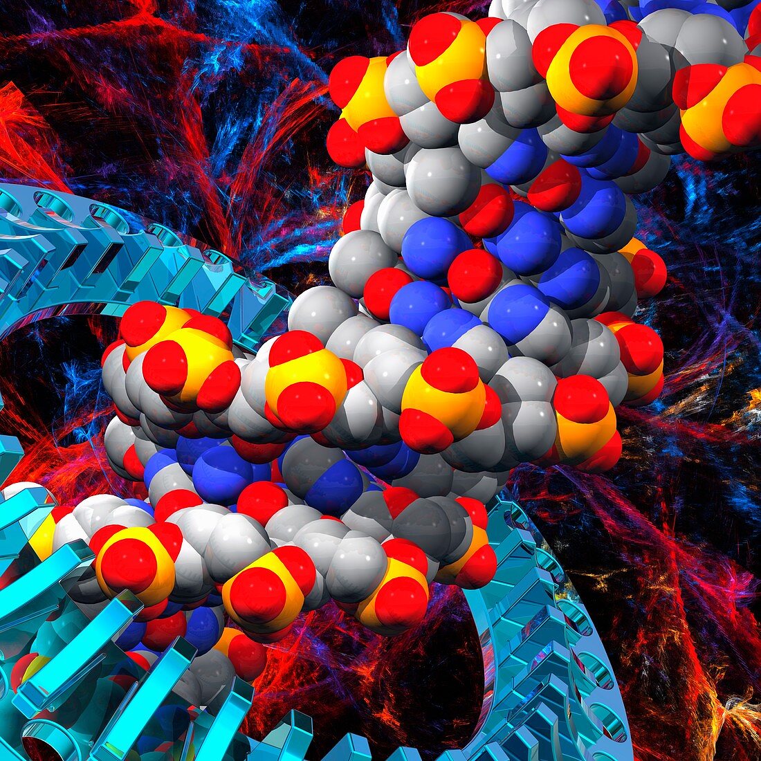 DNA molecule, illustration