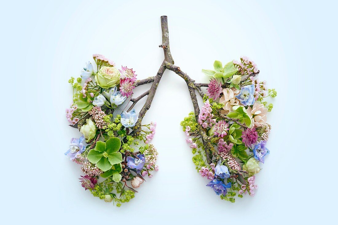 Spring flowers representing human lungs