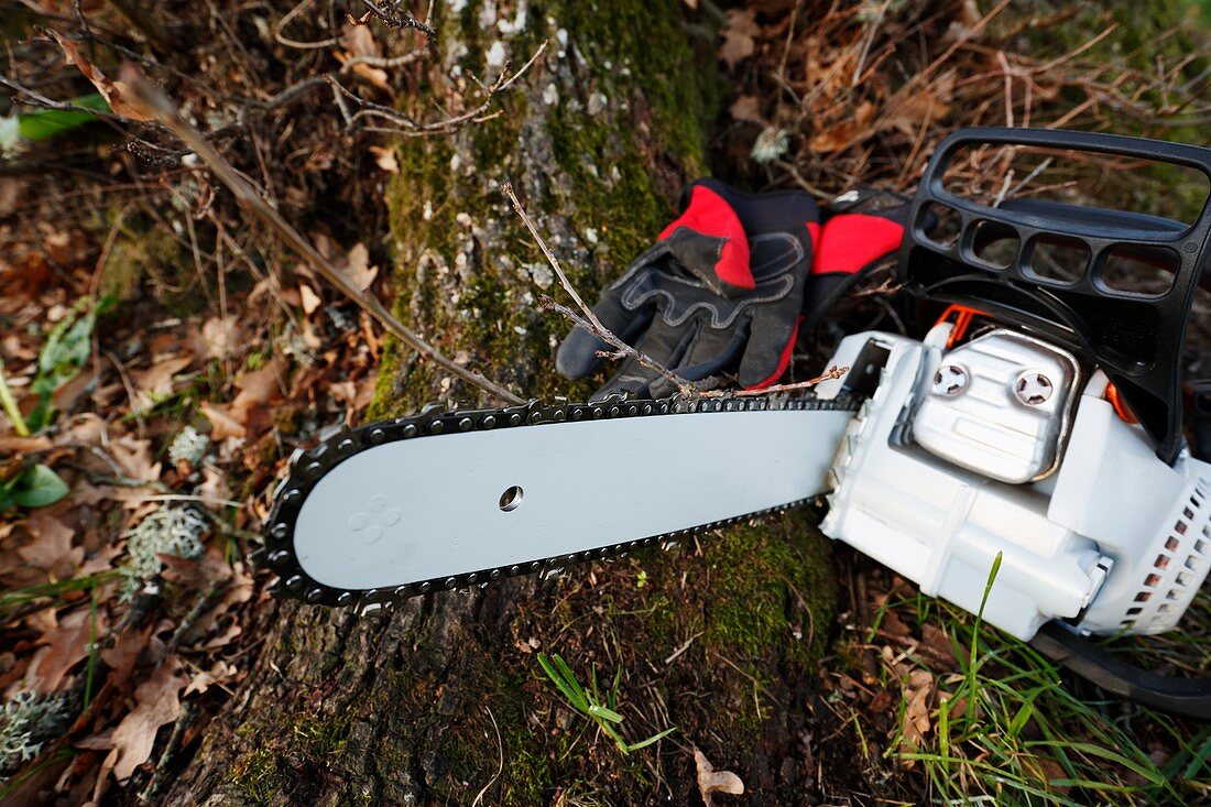 Chainsaw and gloves