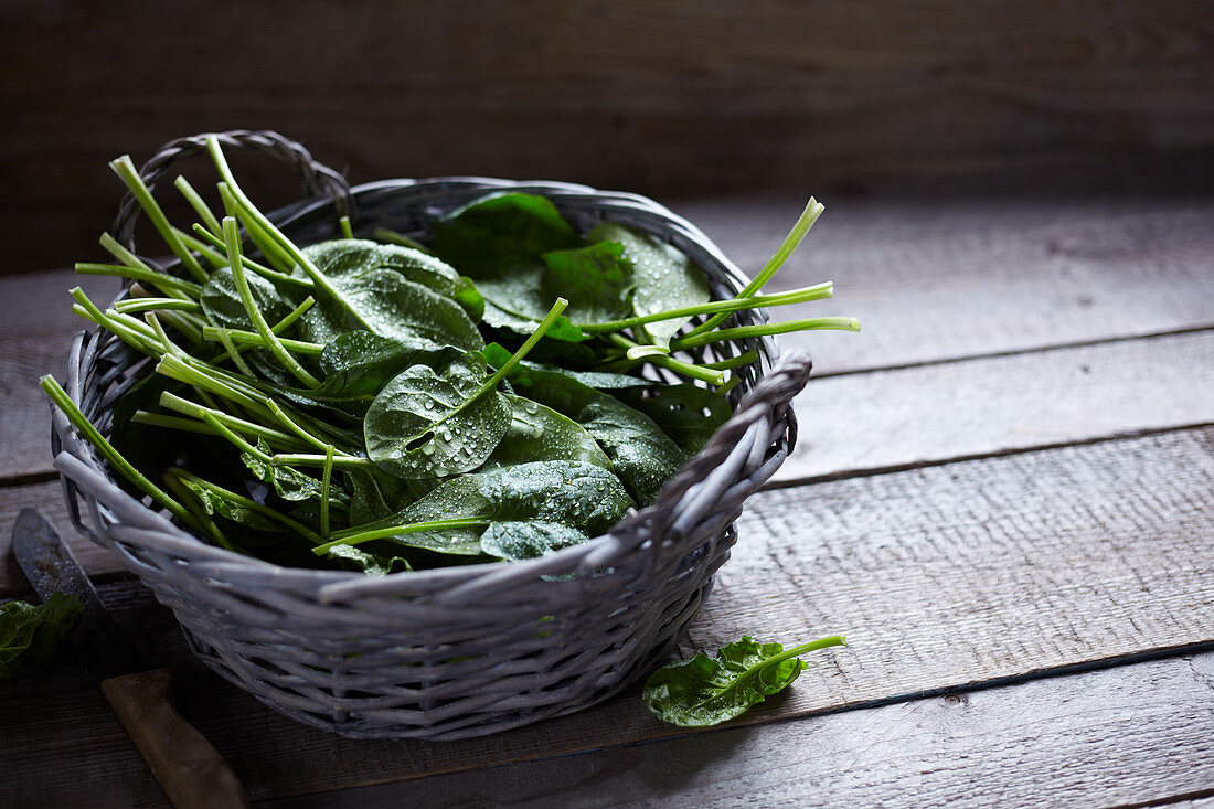 A basket of freshly washed spinach leaves