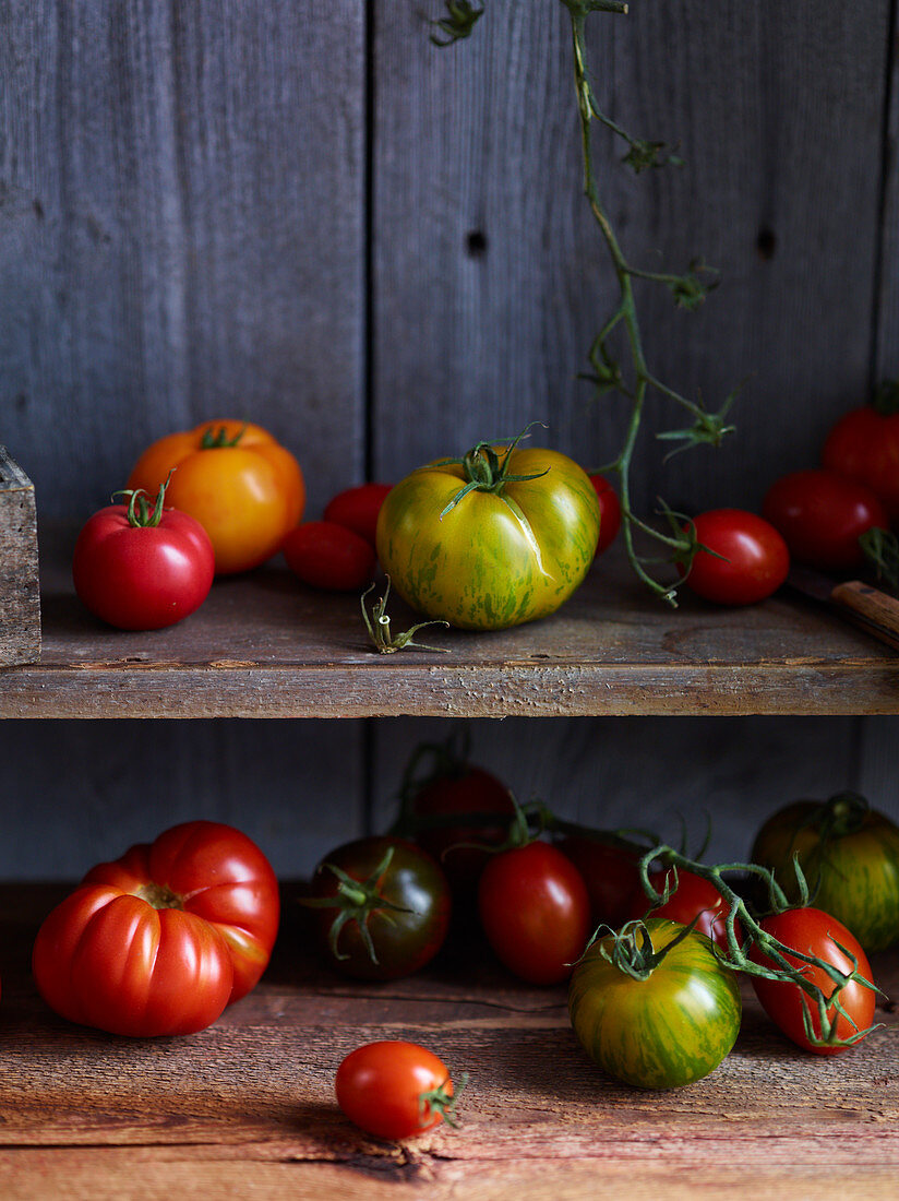 Various types of tomatoes on a wooden shelf