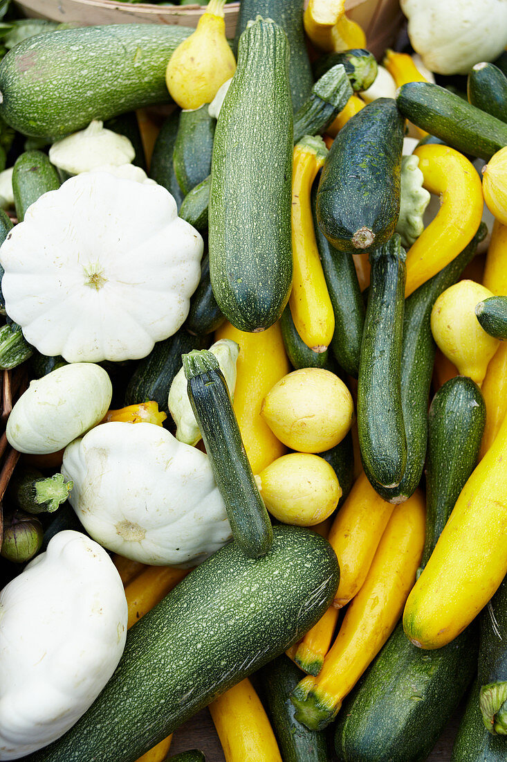 Verschiedenfärbige Zucchini und Kürbisse