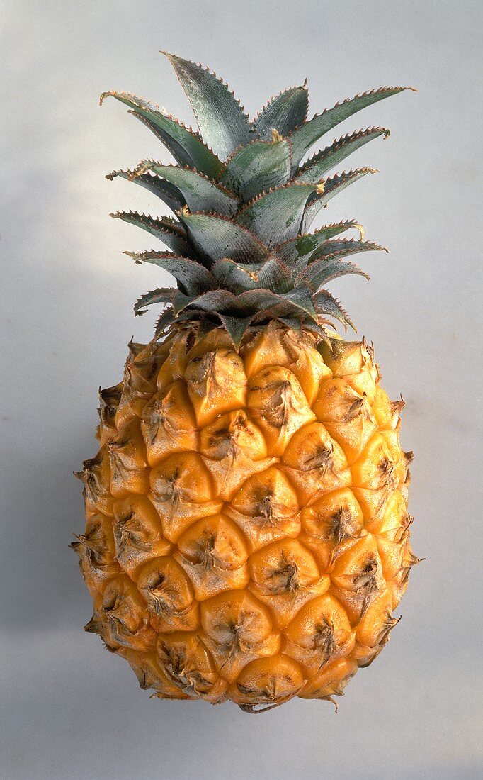 Eine Ananas