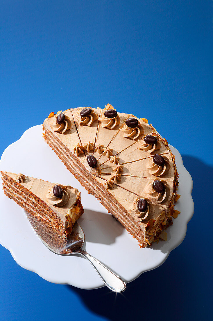 Mocha cake (trend from the 1950s)
