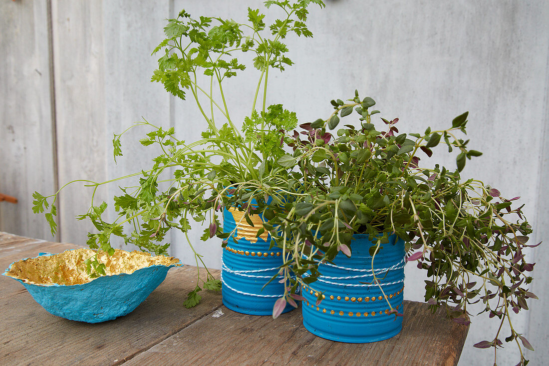 Papier-mâché bowls and herbs in decorated tin cans