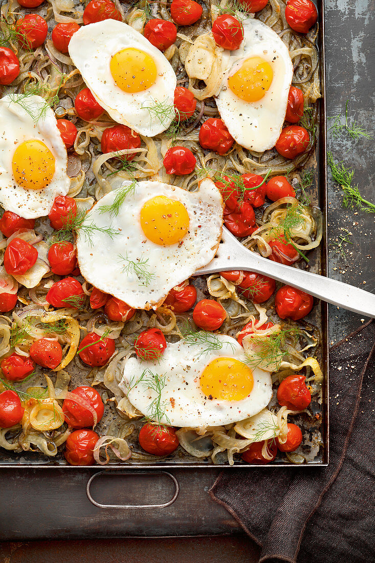 Grilled tomatoes with fennel and fried eggs on a baking tray