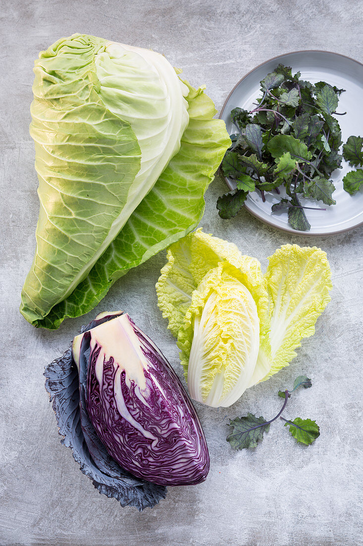 Cabbages – pointed cabbage, red cabbage, Chinese cabbage and micro kale