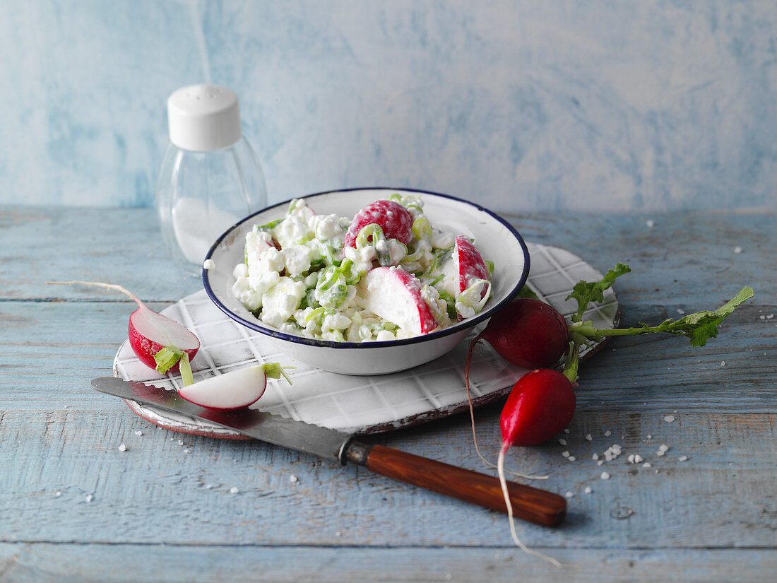 Cottage cheese with radishes and spring onions