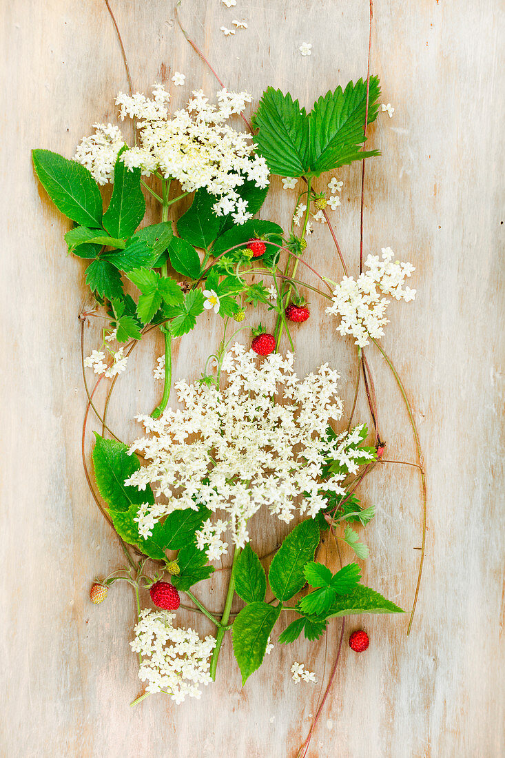 Walderdbeeren und -blätter mit Holunderblütendolden auf Holzuntergrund