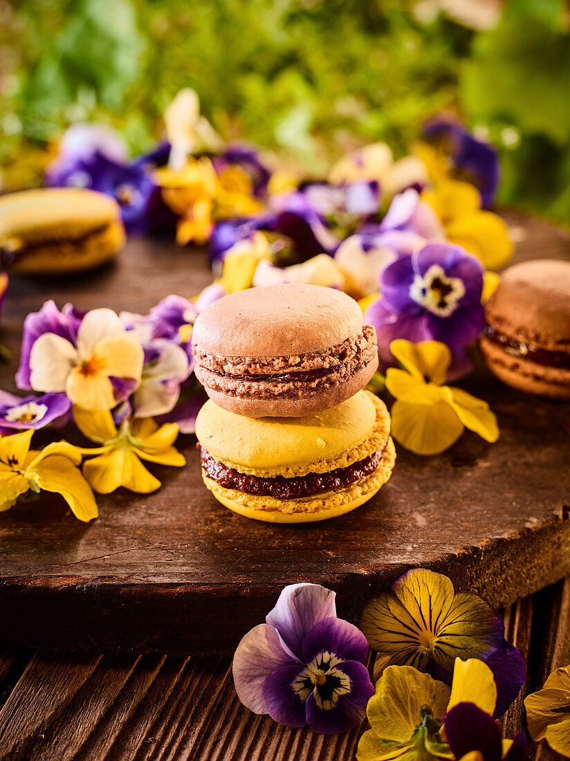 Schokoladen-Macarons mit Hagebuttenkonfitüre