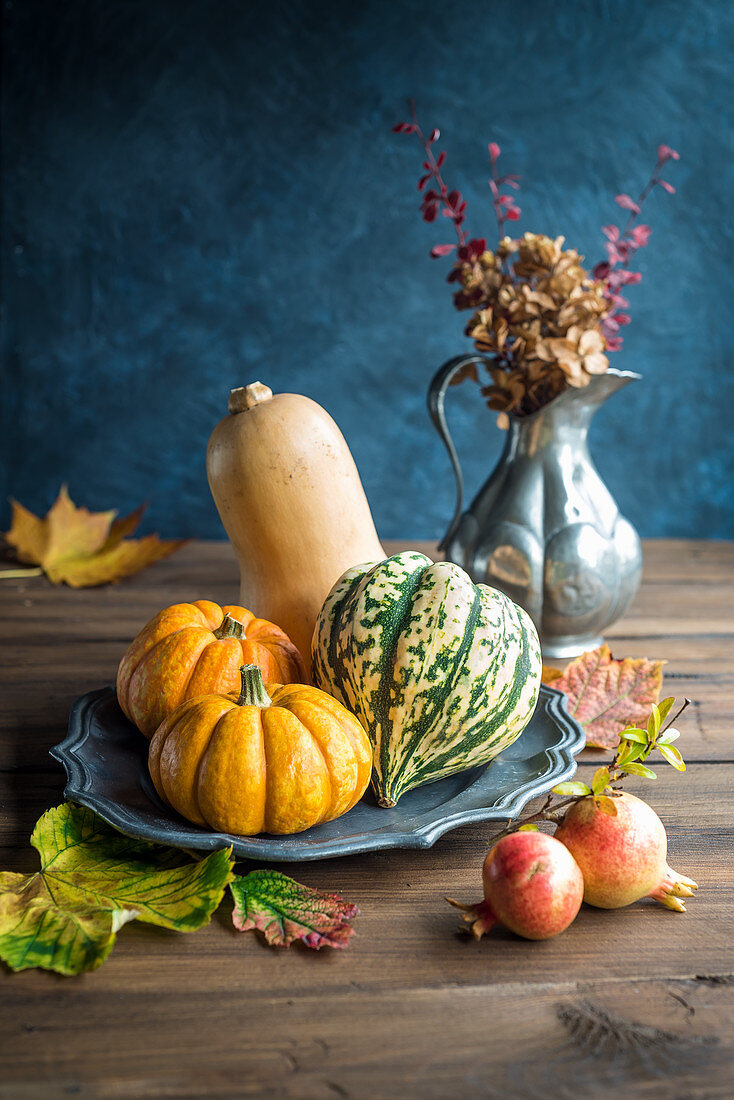 Autumn Scene with Assorted Pumpkins 