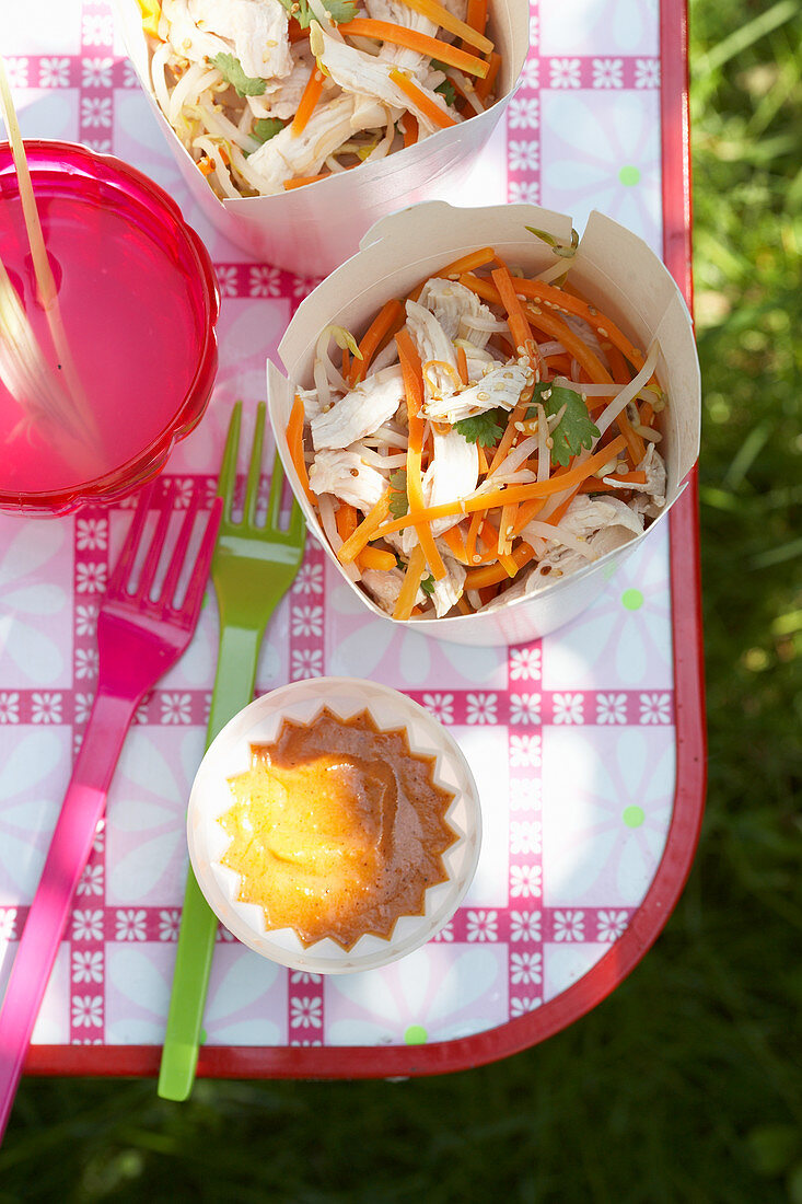 Chinese chicken salad with carrots for a picnic