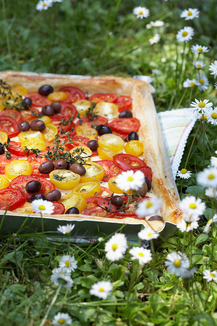 Tomato and goat cheese quiche with olives for a picnic