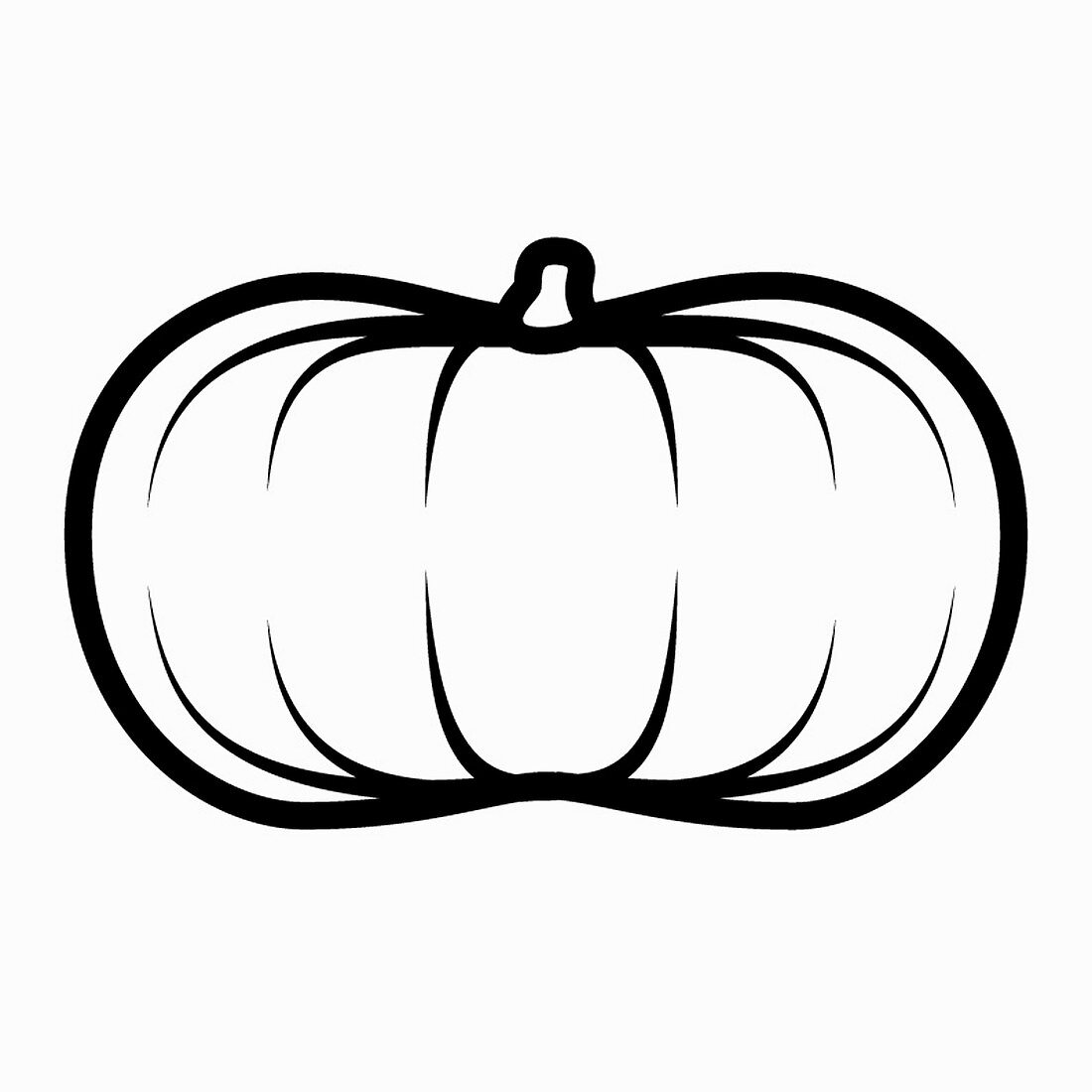 Musque de Provence pumpkin, black-and-white illustration