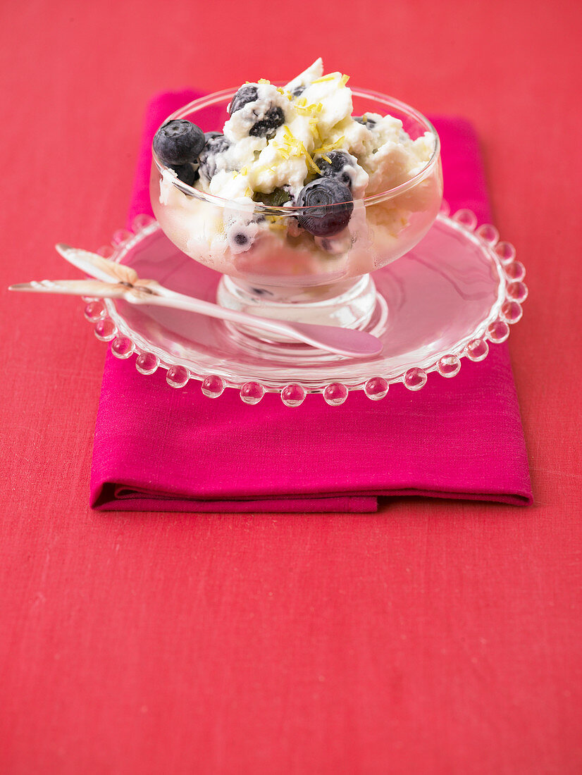 Frozen yoghurt with blueberries