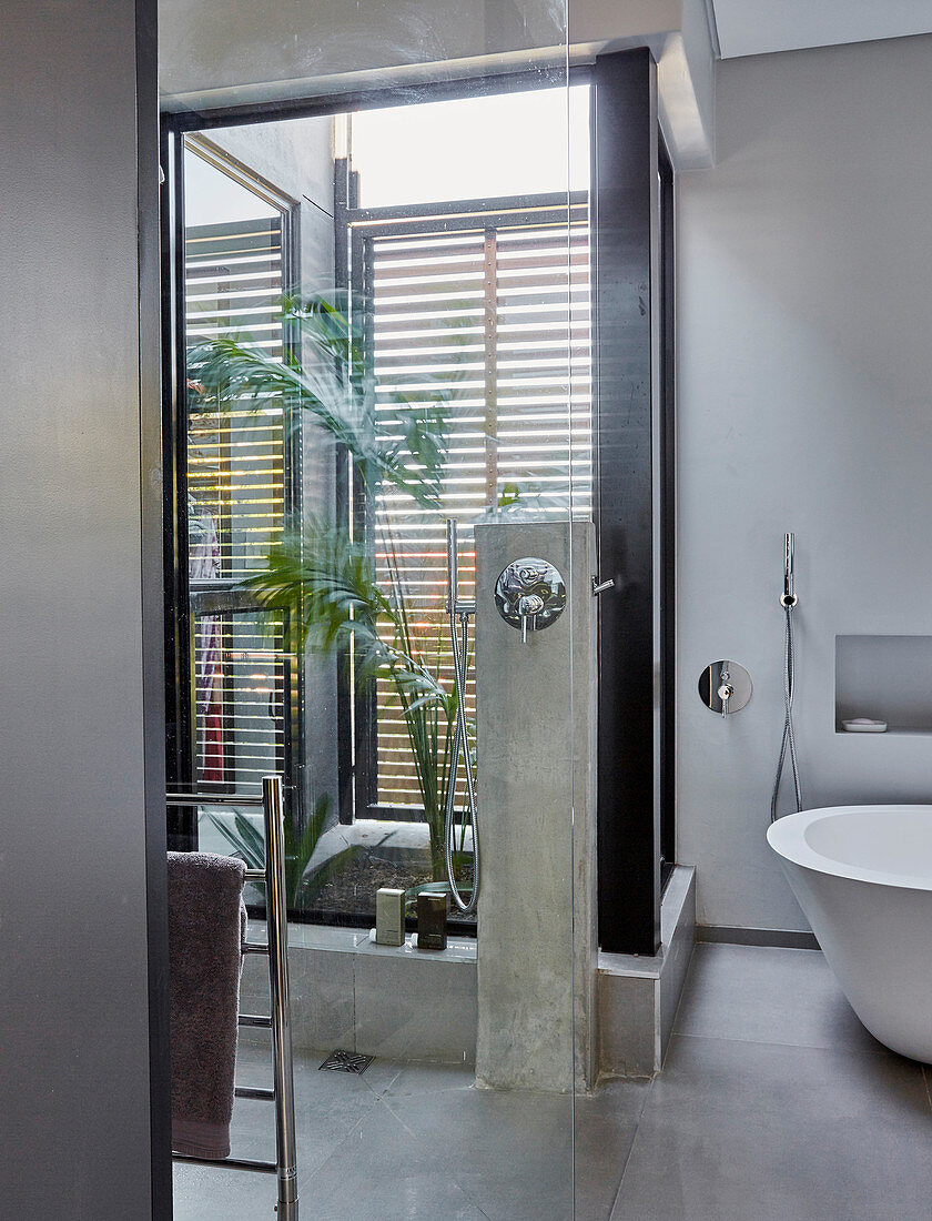 Glass door and grey-painted walls in ensuite bathroom